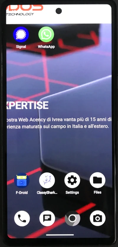 Pixel 6a GrapheneOS visto di fronte